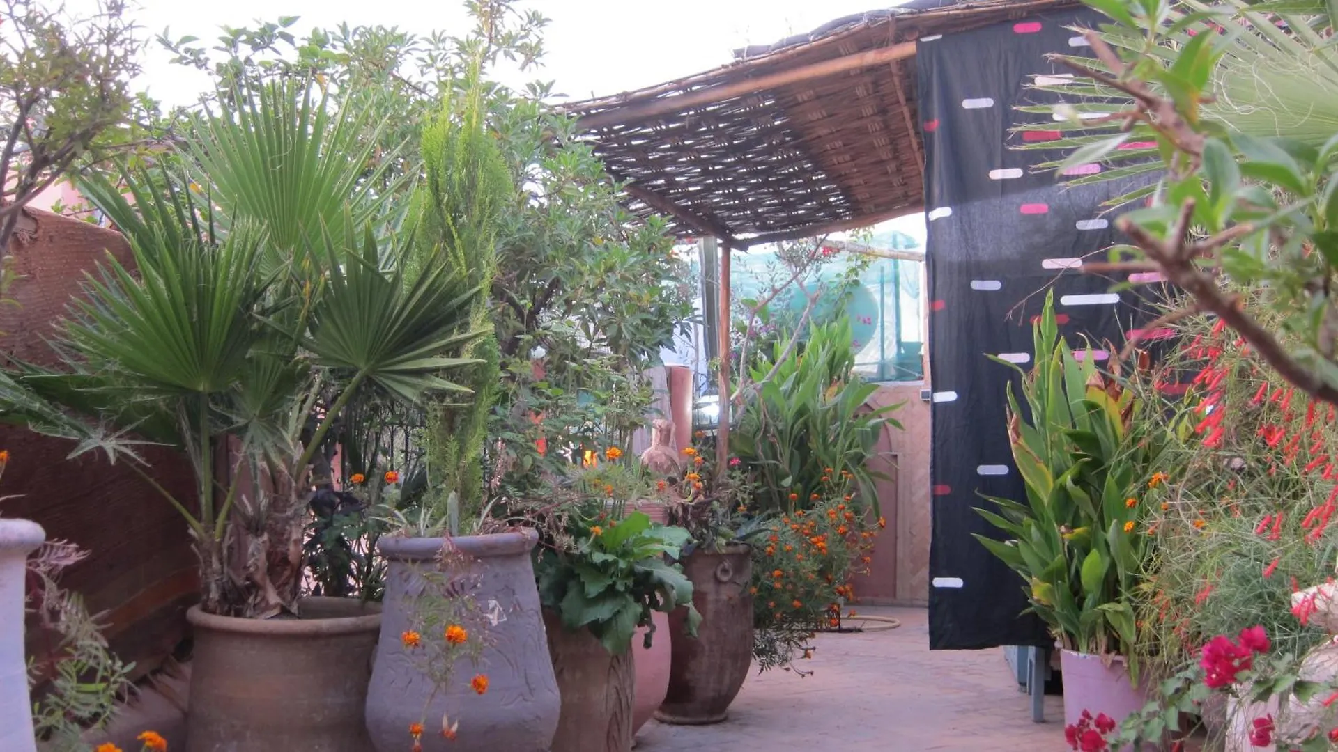 מרקש Riad Maizie
